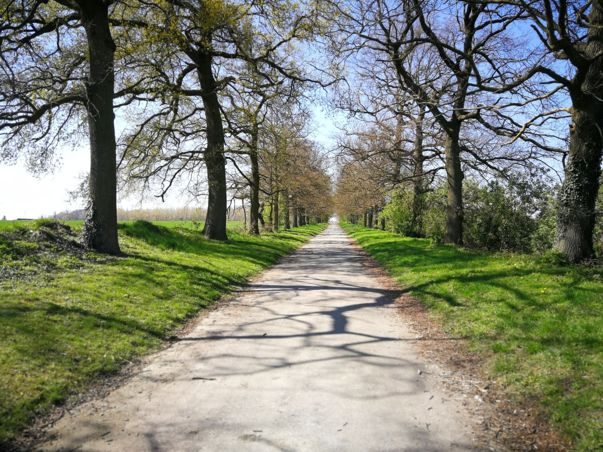 Waremme et la Hesbaye — photo 8